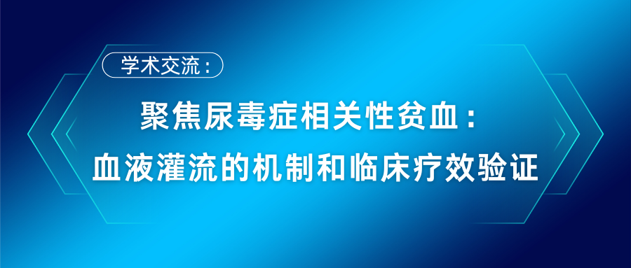 聚焦尿毒癥相關性貧血：血液灌流的機制和臨床療效驗證
